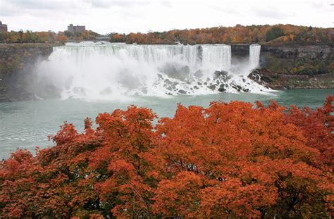 fall foliage at niagara falls|More.